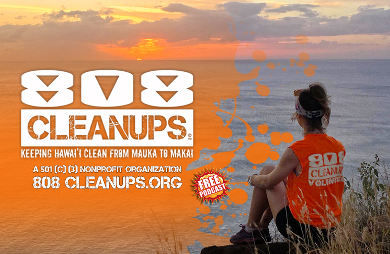 808 CLEANUPS_m2m