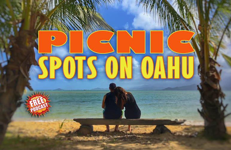 PICNICS ON OAHU