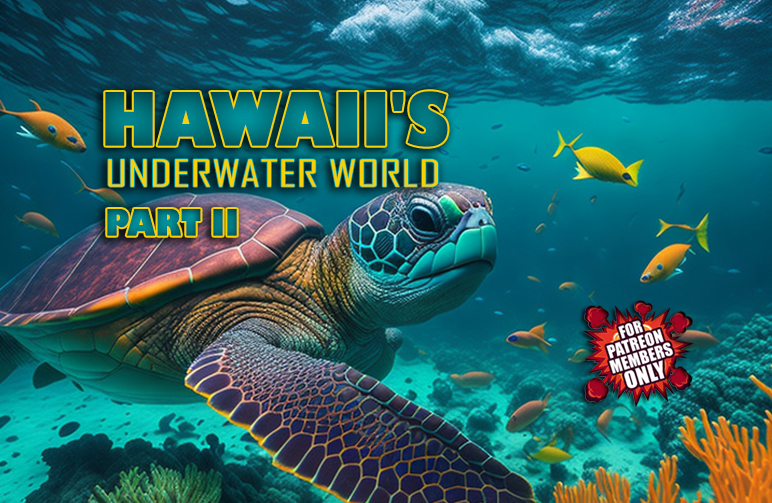 UNDERWATER WORLD II